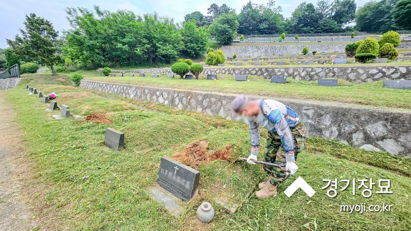 용미리제1묘지 300구역 조성묘 분묘 굴착 작업 현장