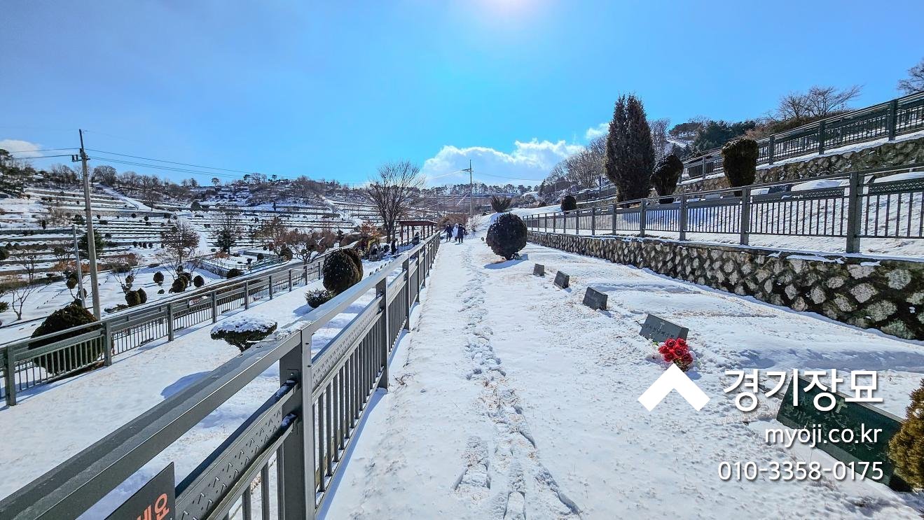 20250207_124216 - Copy (2).jpg