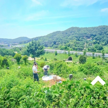 남양주시 와부읍 월문리 월문공동묘지에서 화장하기 위해 묘지개장 파묘해 유골 수습해 드렸습니다.